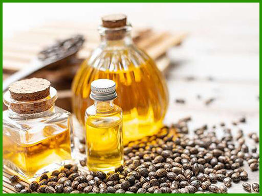 Castor Oil USP / BP / EP Grade